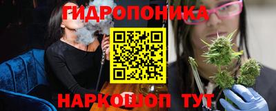 a pvp Аргун