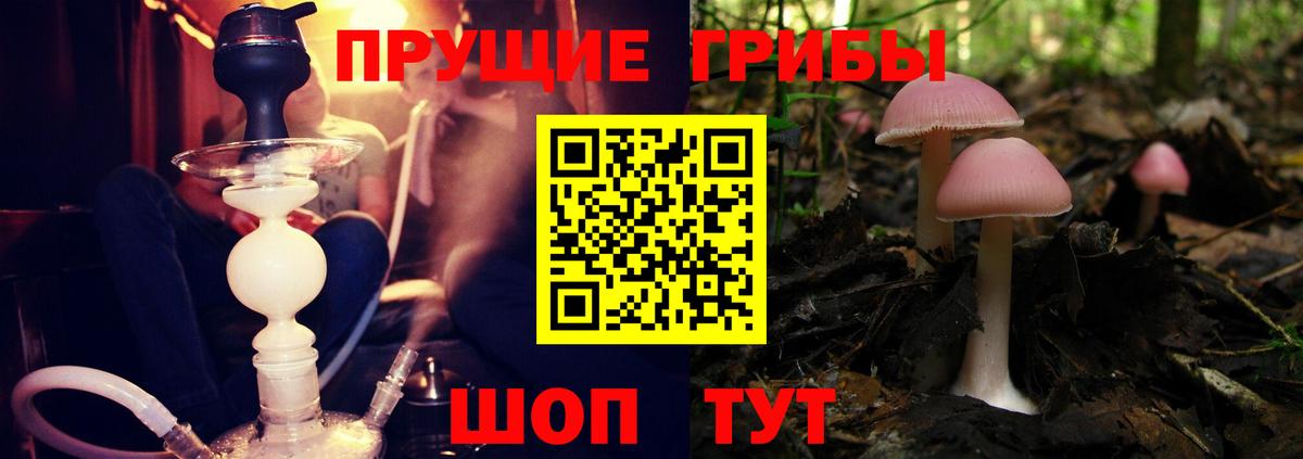 Воронеж  Галлюциногенные грибы ЛСД  Вход с VPN 